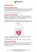 Science - Fourth Grade - Study Guide: Did you Know... 4th grade