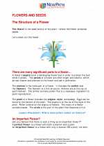 flowers and seeds 5th grade science worksheets and answer keys study guides and vocabulary sets