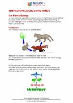 Science - Fifth Grade - Study Guide: Interactions among living things