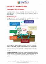 Cycles Of Life And Biomes 5th Grade Science Worksheets And Answer Keys Study Guides And Vocabulary Sets Next Generation Science Standards Ngss Comprehensive