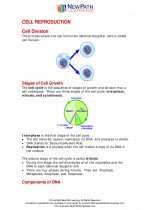 Science - Seventh Grade - Study Guide: Cell Reproduction