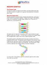 Science - Eighth Grade - Study Guide: Modern Genetics