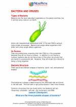 Science - Seventh Grade - Study Guide: Bacteria and Viruses