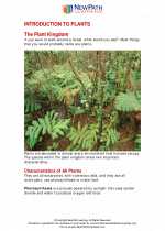 Science - Seventh Grade - Study Guide: Introduction to Plants