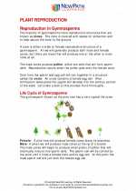 Science - Sixth Grade - Study Guide: Plant reproduction