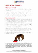 Science - Sixth Grade - Study Guide: Introduction to Animals