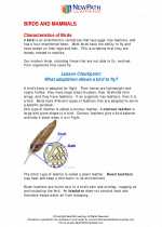 Science - Sixth Grade - Study Guide: Birds and Mammals