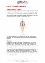 Science - Eighth Grade - Study Guide: Circulation and immunity