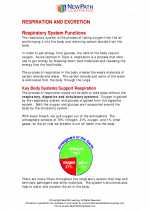 Science - Eighth Grade - Study Guide: Respiration and excretion