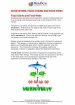 Science - Seventh Grade - Study Guide: Ecosystems, food chains and food webs