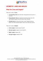 Mathematics - Fourth Grade - Study Guide: Lines and Angles