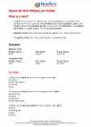English Language Arts - Eighth Grade - Study Guide: Regular and Irregular Verbs 
