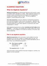 Mathematics - Seventh Grade - Study Guide: Algebraic Equations