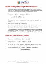 Mathematics - Sixth Grade - Study Guide: Whole Numbers to Trillions