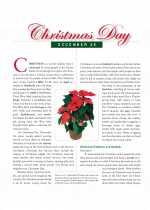 Social Studies - Third Grade - Study Guide: Christmas Day