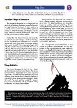 Social Studies - First Grade - Study Guide: Flag Day