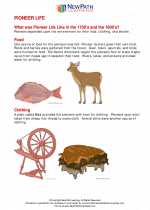 Social Studies - Fifth Grade - Study Guide: Pioneer Life