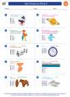 English Language Arts - Fourth Grade - Worksheet: High Frequency Words II
