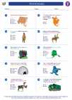 Social Studies - Fifth Grade - Worksheet: First Americans