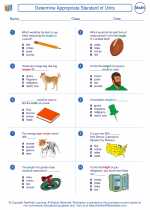 Mathematics - Third Grade - Worksheet: Determine Appropriate Standard of Units