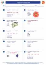 ELA 4th, 5th Grade Synonyms and Antonyms Worksheets of Fun