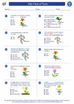 Main Parts Of Plants Third Grade Science Worksheets And Study Guides Mississippi College Career Readiness Standards