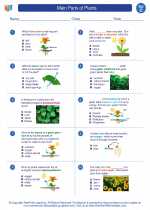 Science - Third Grade - Worksheet: Main Parts of Plants