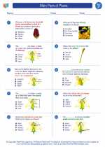 Science - Third Grade - Worksheet: Main Parts of Plants