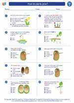 Science - Third Grade - Worksheet: How do plants grow?