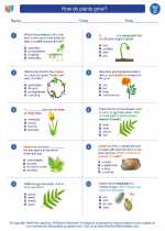 Science - Third Grade - Worksheet: How do plants grow?