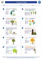 Science - Third Grade - Worksheet: Grouping of Plants