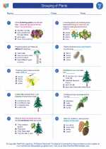 Science - Third Grade - Worksheet: Grouping of Plants