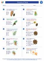 Science - Third Grade - Worksheet: Grouping of Plants