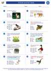 Science - Third Grade - Worksheet: Animals and their needs