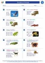 Science - Third Grade - Worksheet: Grouping of Animals