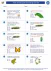 Science - Third Grade - Worksheet: How animals grow and change and live