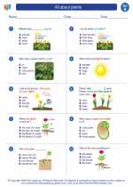 All About Plants First Grade Science Worksheets And Answer Keys Study Guides And Vocabulary Sets