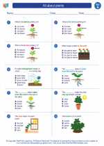 all about plants first grade science worksheets and answer keys study guides and vocabulary sets