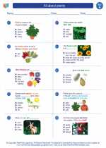 Science - First Grade - Worksheet: All about plants
