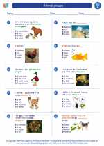 Science - First Grade - Worksheet: Animal groups