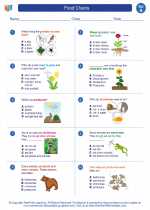 Science - First Grade - Worksheet: Food Chains