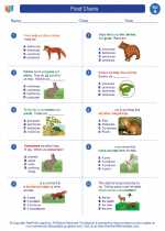 Science - First Grade - Worksheet: Food Chains