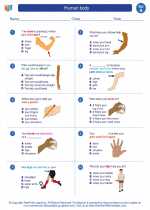 human body 1st grade science worksheets and answer keys study guides and vocabulary sets