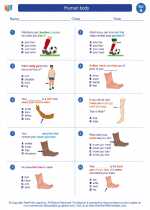 Science - First Grade - Worksheet: Human body