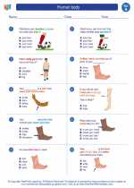 Science - First Grade - Worksheet: Human body