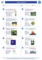 Science - Second Grade - Worksheet: What is science?
