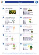 Science - Second Grade - Worksheet: Plants