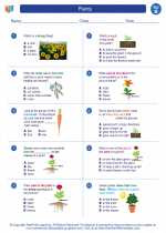 Science - Second Grade - Worksheet: Plants