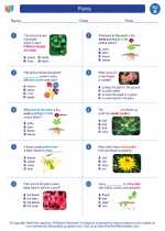 plants second grade science worksheets and answer keys study guides and vocabulary sets