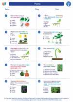Science - Second Grade - Worksheet: Plants